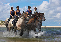 De Jan Plezier Texel
