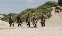 Trekpaard rijden op Texel