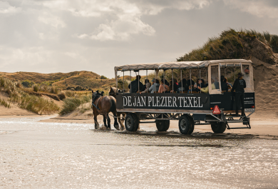 de jan plezier 2009 tot heden